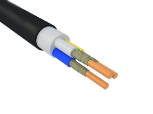 ППГнг(А)-FRHF 3х10 (N, PE)-0,66